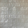 Ceramic wall tile | 10x10 cm | Tilestone Keramische Zellige Grey