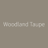 Staal | 5x5 cm | Tester Muur & Plafond - Impermo Paint - Woodland Taupe Staal | 5x5 cm | Tester Muur & Plafond - Impermo Paint - Woodland Taupe