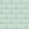 Carreaux muraux en céramique | 10x20 cm | Stockholm Soft Green