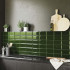Keramische wandtegel | 10x20 cm | Biseauté Green  Keramische wandtegel | 10x20 cm | Biseauté Green